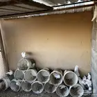 فروخ فرنسي جامبو للبيع