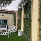 استراحات وشاليهات الارجوان