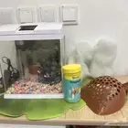 اله قهوه وحوض سمك