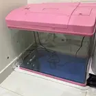 حوض سمك كبييير