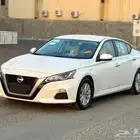 التيما 2020 شد بلد