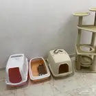 مستلزمات قطط