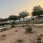 للايجار استراحة قسمين جهة نساح كبيرة ونظيفة