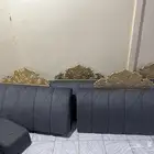 جلسه مجلس ارضيه