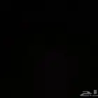 مندوب توصيل