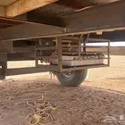 للبيع
