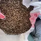 بذور البان العربي العدد ( 9 ) اكياس جمع جديد