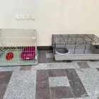 قفص قطط و لتر بوكس