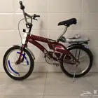 سيكل رامبو الملحم الون عنابي
