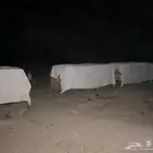 تاجير منحل في تبوك والمدينه
