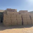 برسيم الاضارع 600بلكه ثقيل نظيف