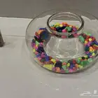 حوض سمكة و اكل سمك