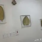 لوحات جداريه