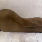 شيزلونج كرسي الزوجيه