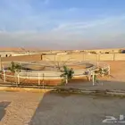 ايواء خيل شامل الووكر