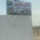 مطلوب زغاليل   بط   ديكه