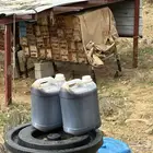 عسل سمرة اصلي