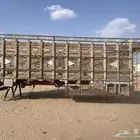صندوق عايدي لموقع شمال بيشه البيع حد 1500 غير قابل لتفاوض