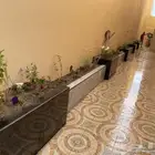 تنسيق الحدائق