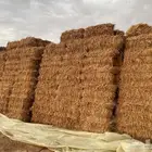 علف بالات ذرة جيزانية حمراء