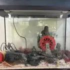 حوض سمك للبيع