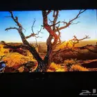 شاشة (2022)TCL QLED 4K سمارت 55 بوصة