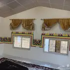 القط العسيري الوان الجنوب