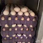 بيض بلدي