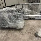 مسجل أكسنت  الوكالة موديل 22