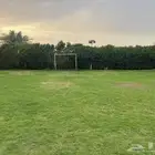 ملعب كرة قدم وطائرة عشب طبيعي ( ثيل )