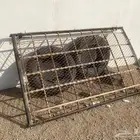 سله جيب جي اكس آر للبيع ع سوم تركب من مديل 99 الي 2007