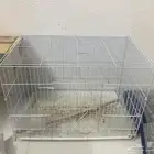 قفص واكل بادجي