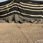 قطبة بيت شعر البيع سمح