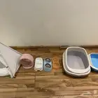 مستلزمات قطط