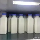 حليب نياق طازج