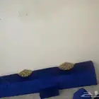 بسم الله