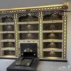 مشبات