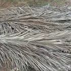 عسبان