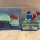 للبيع أقفاص هاميستر