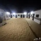 اسطبل