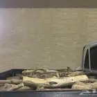 حطب مسحه غمارتين