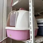اغراض قطط