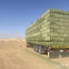 برسيم