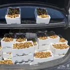 تمر روثانا