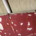 كبوت جمس 78 بدون شفه