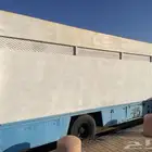 قلص ديانه للبيع