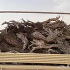دفايه شتاء شرط شاص