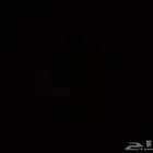 شقه
