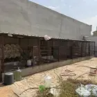 شبك