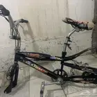 بودي كوبرا